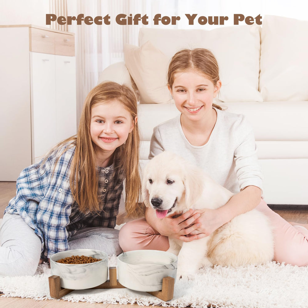 Leiyiida suitable for small dogs and cats' feeding routines.