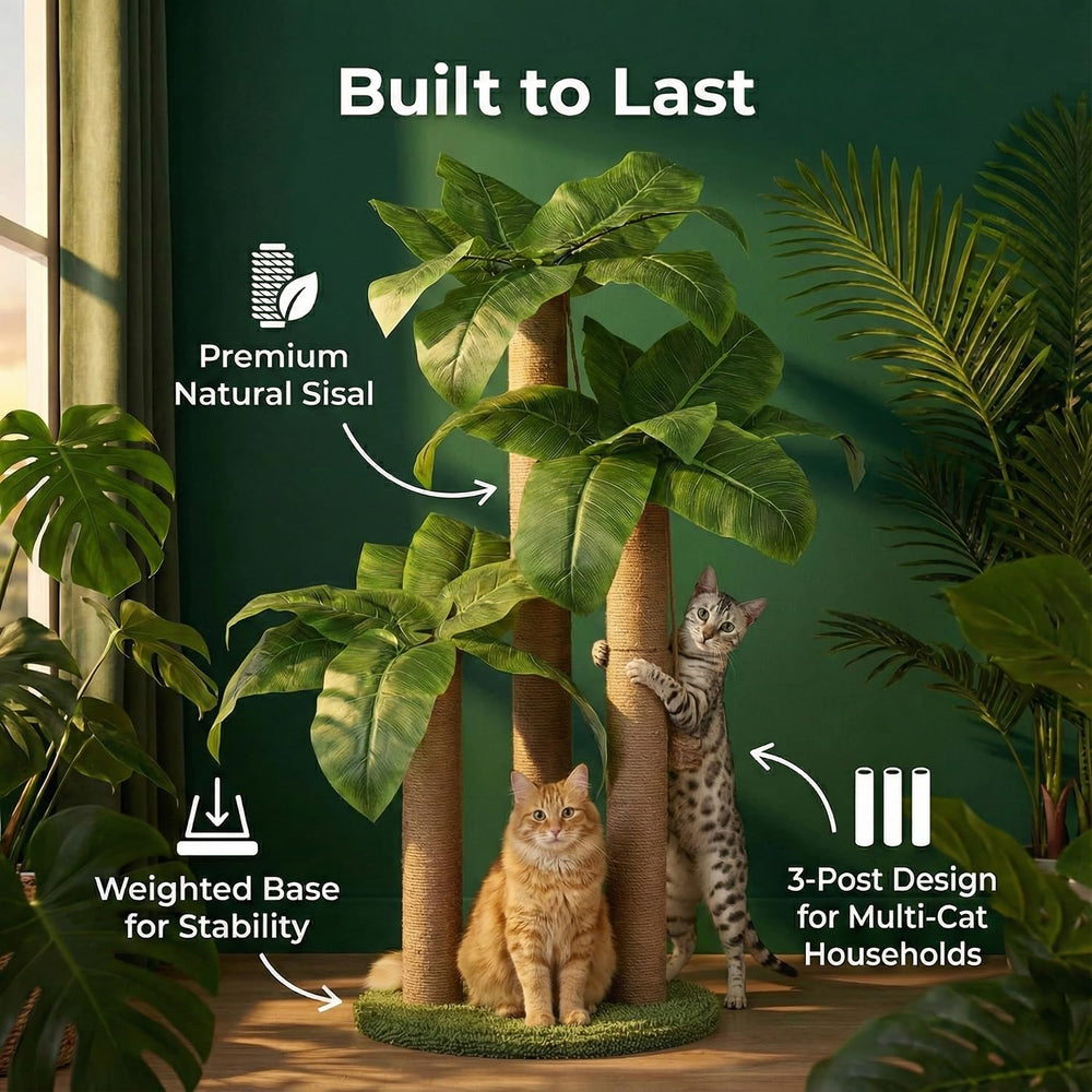 LEMONDA three-pole scratching post supports varied scratching and stretching.