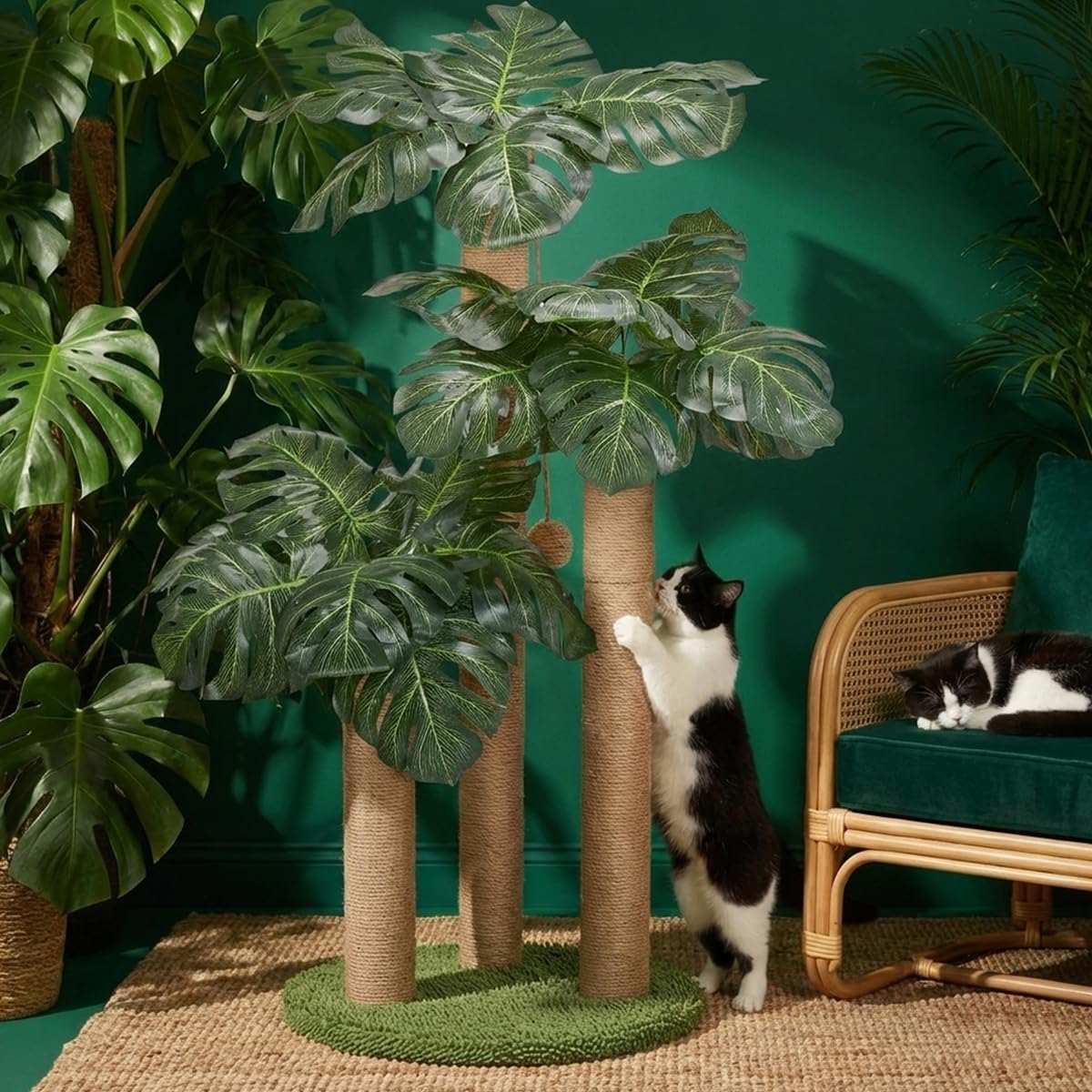 LEMONDA furniture-protecting solution keeps couches safe.