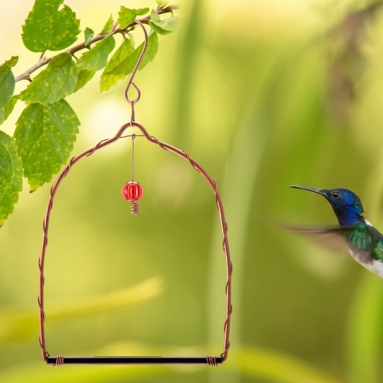 LemonRoad hanging setup makes placement near feeders simple and convenient.