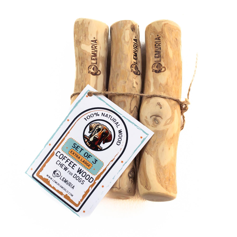 Lemuria Coffee Wood Dog Chew Stick front view for extra large dogs, durable and natural
