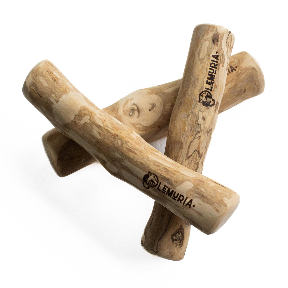 Lemuria non-toxic eco-friendly chew sticks for dogs ideal for stress relief during play