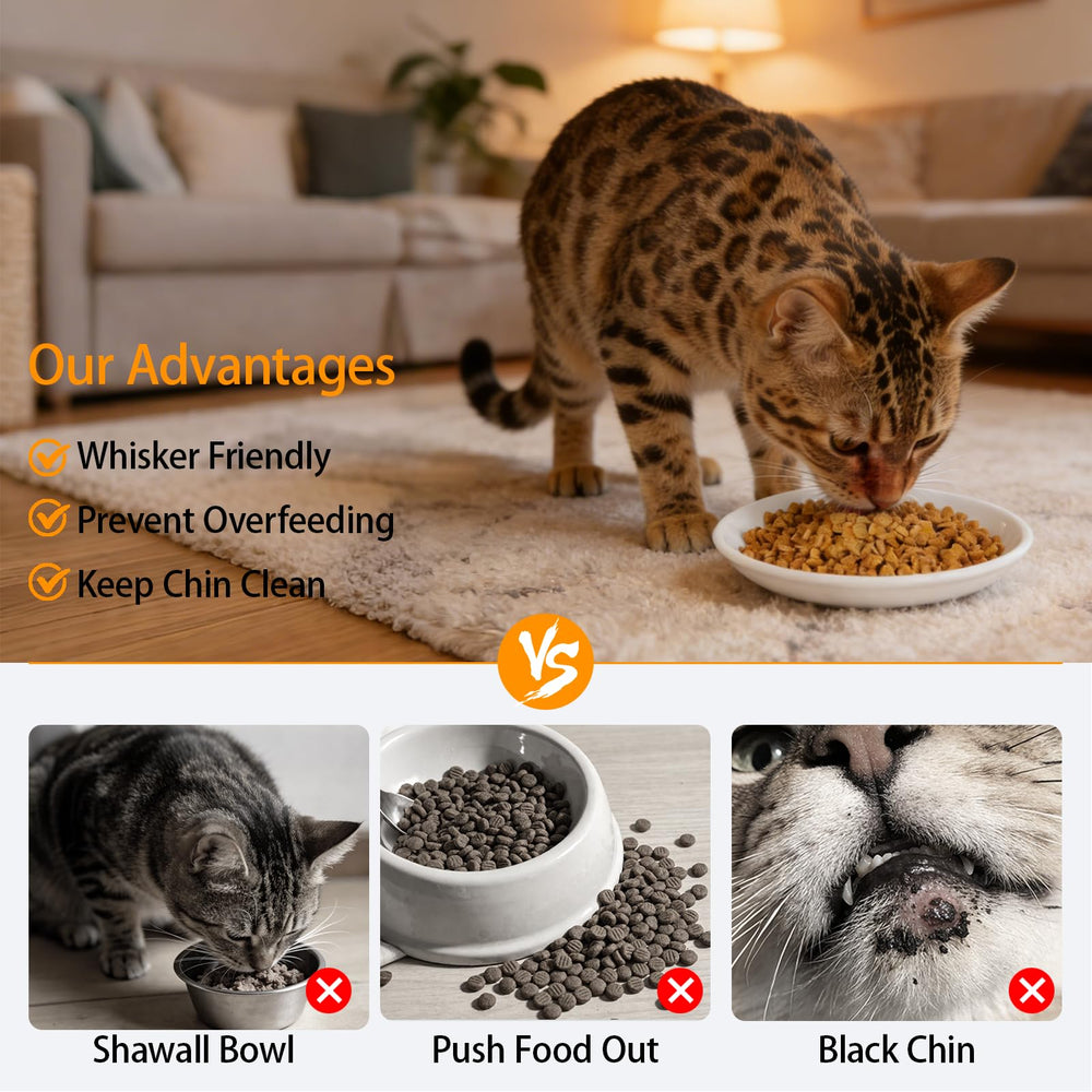 Lendex ceramic-base bowls protect floors from scratches during meals.