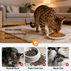 Lendex ceramic-base bowls protect floors from scratches during meals.