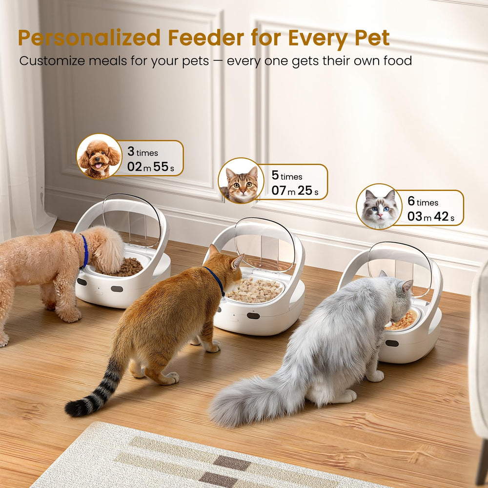 Cooling compartment keeping wet food fresh during meals