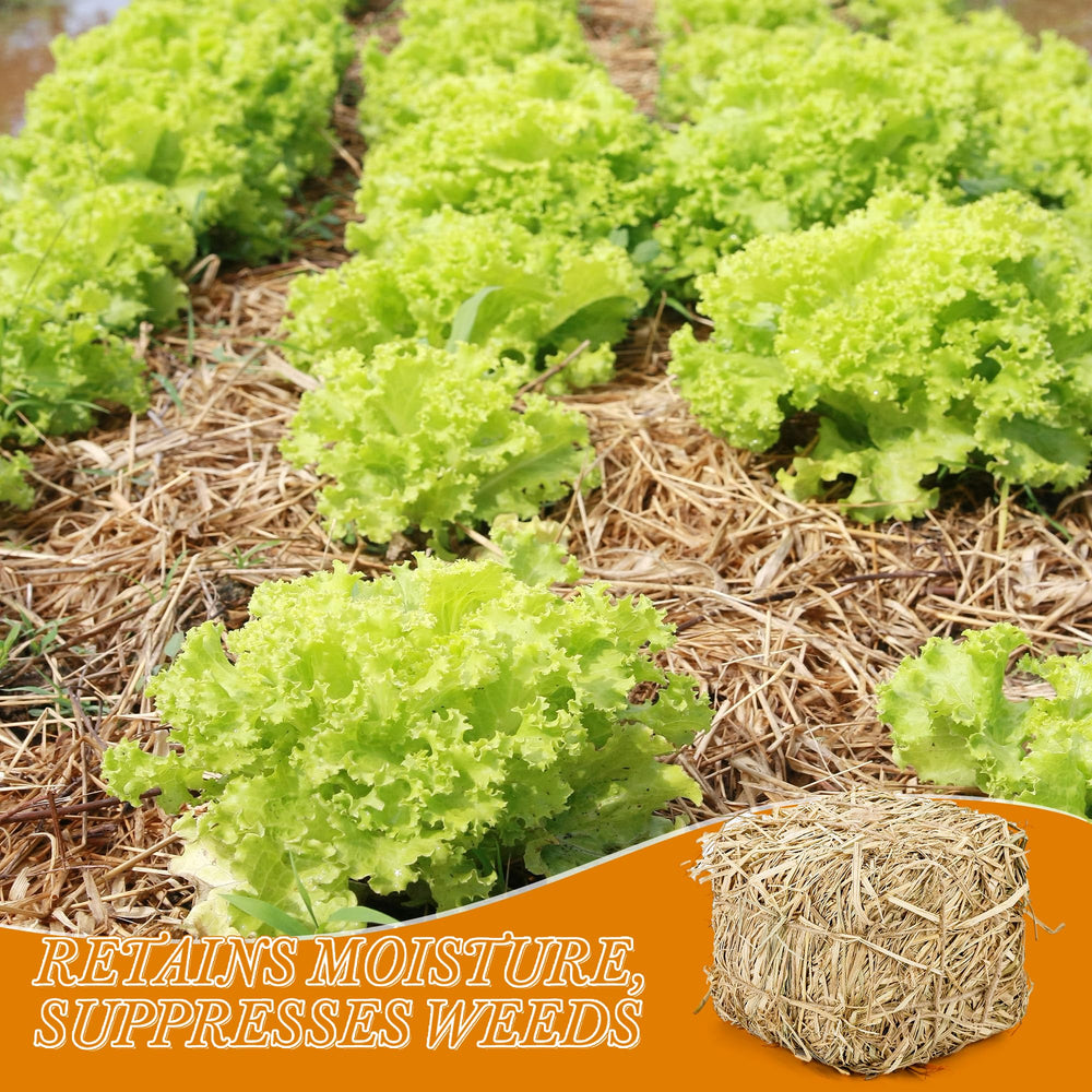 Lengba 8x8x8 soft, dry straw bale offers compact, comfortable bedding