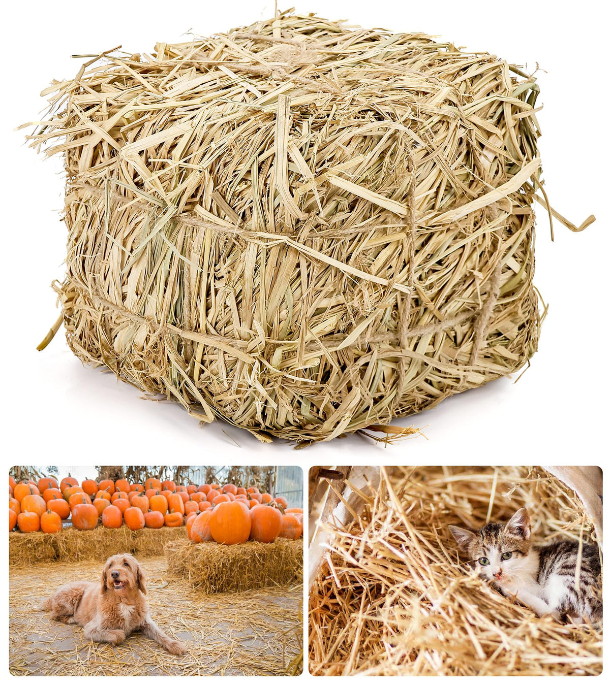 Lengba natural straw bale for cat shelter provides cozy, dry bedding outdoors