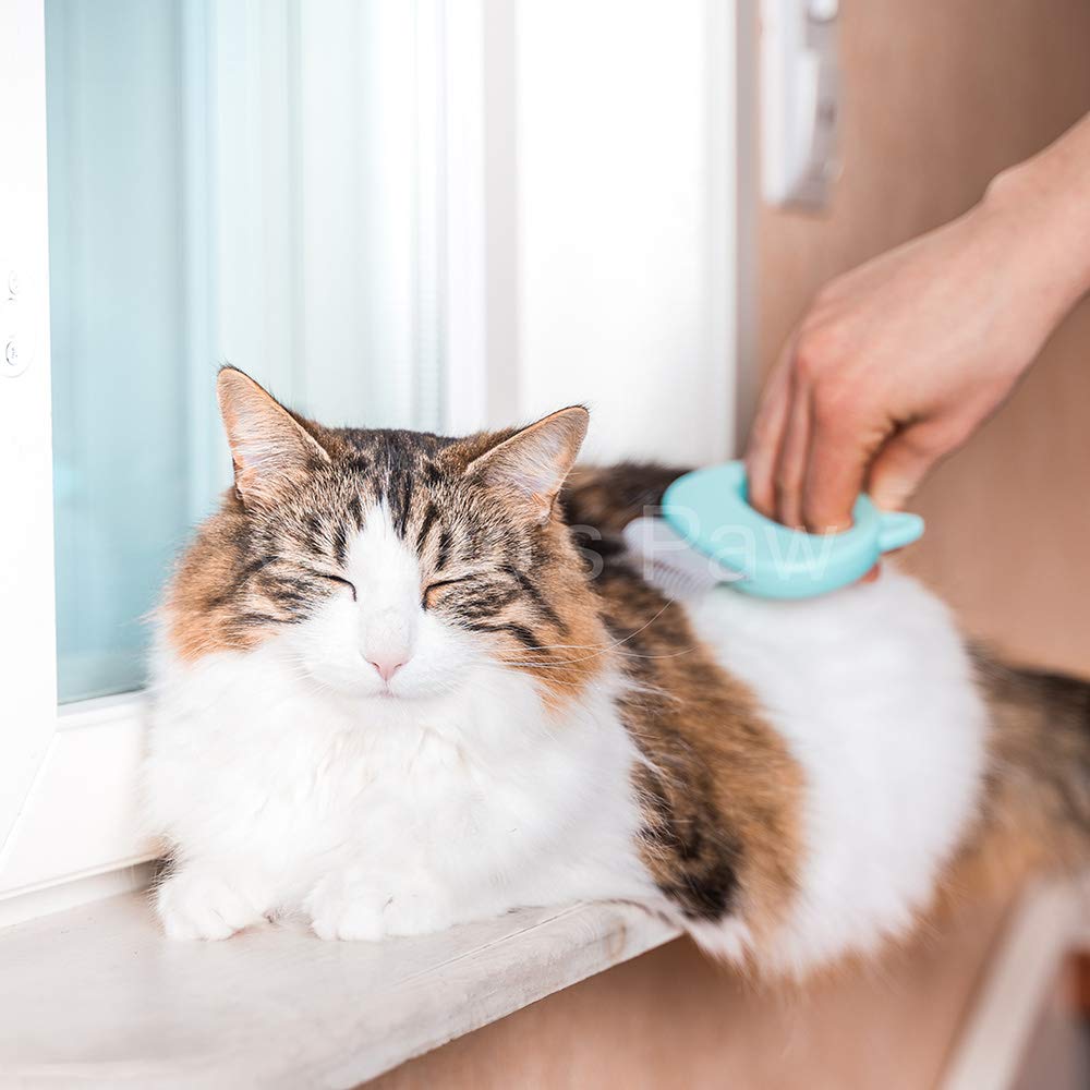 Leo's Paw tool suitable for cats, dogs, and bunnies for multi-pet care.