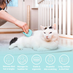 Leo's Paw deshedding brush during grooming session for a smoother coat.