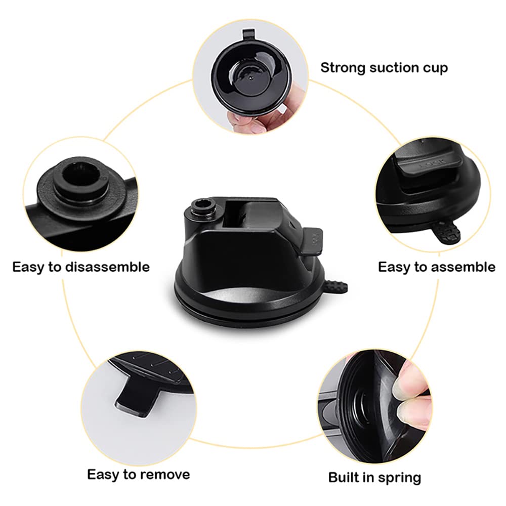 Leo's Paw durable design withstands energetic pawing for lasting fun.