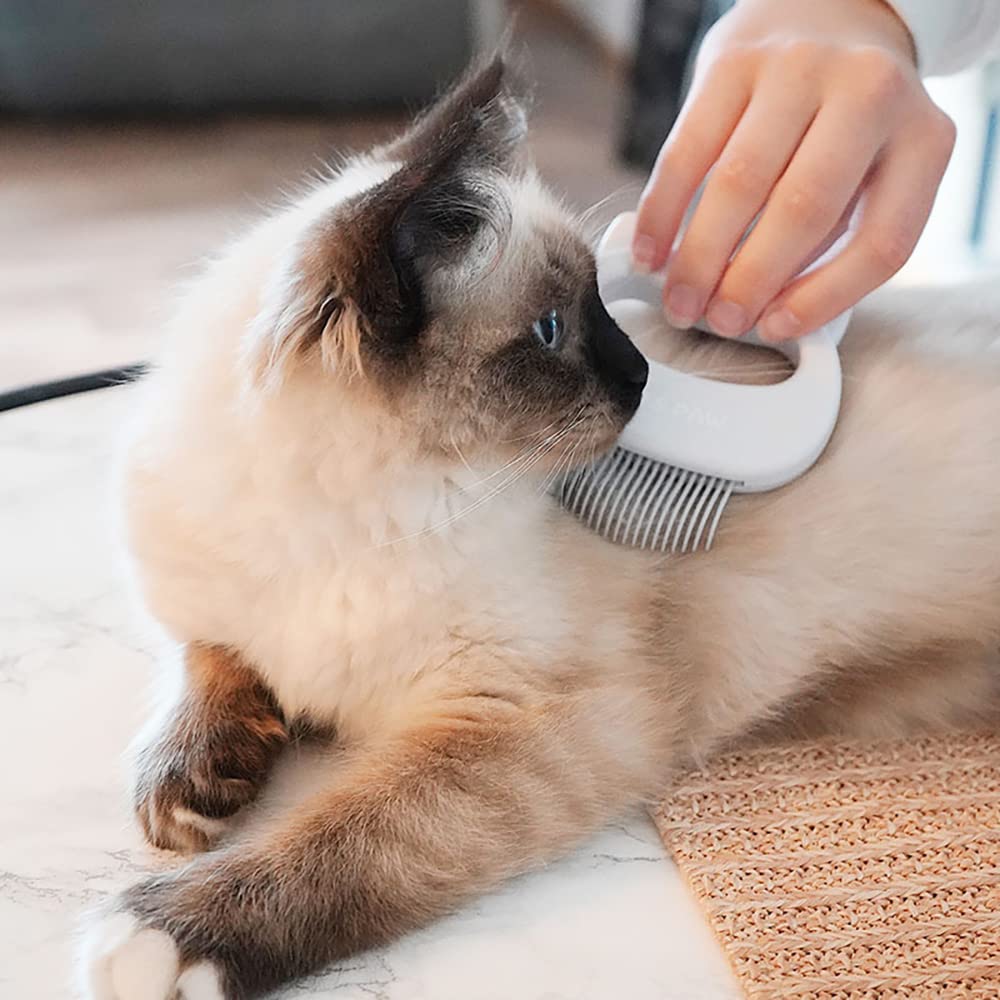 Leo's ergonomic handle supports comfortable, steady grooming sessions