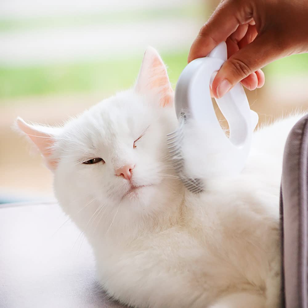 Leo's Shell Comb after grooming is easy to clean and maintain
