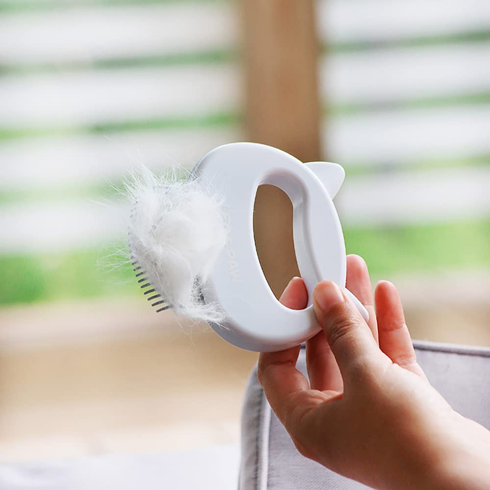 Leo's packaging showcases a ready-to-use grooming solution for pets
