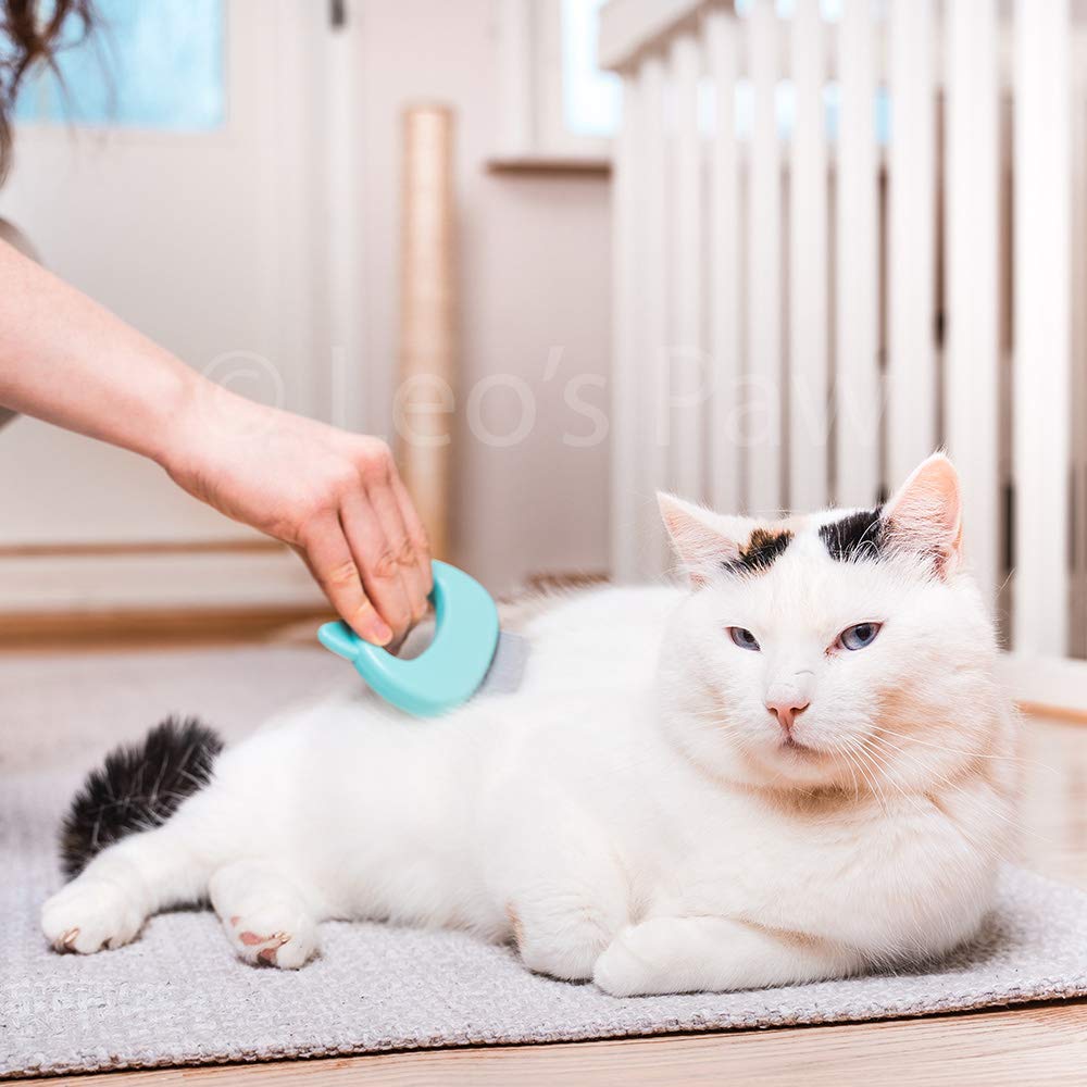Leo's Paw safe elastic grip ensures a snag-free grooming experience.