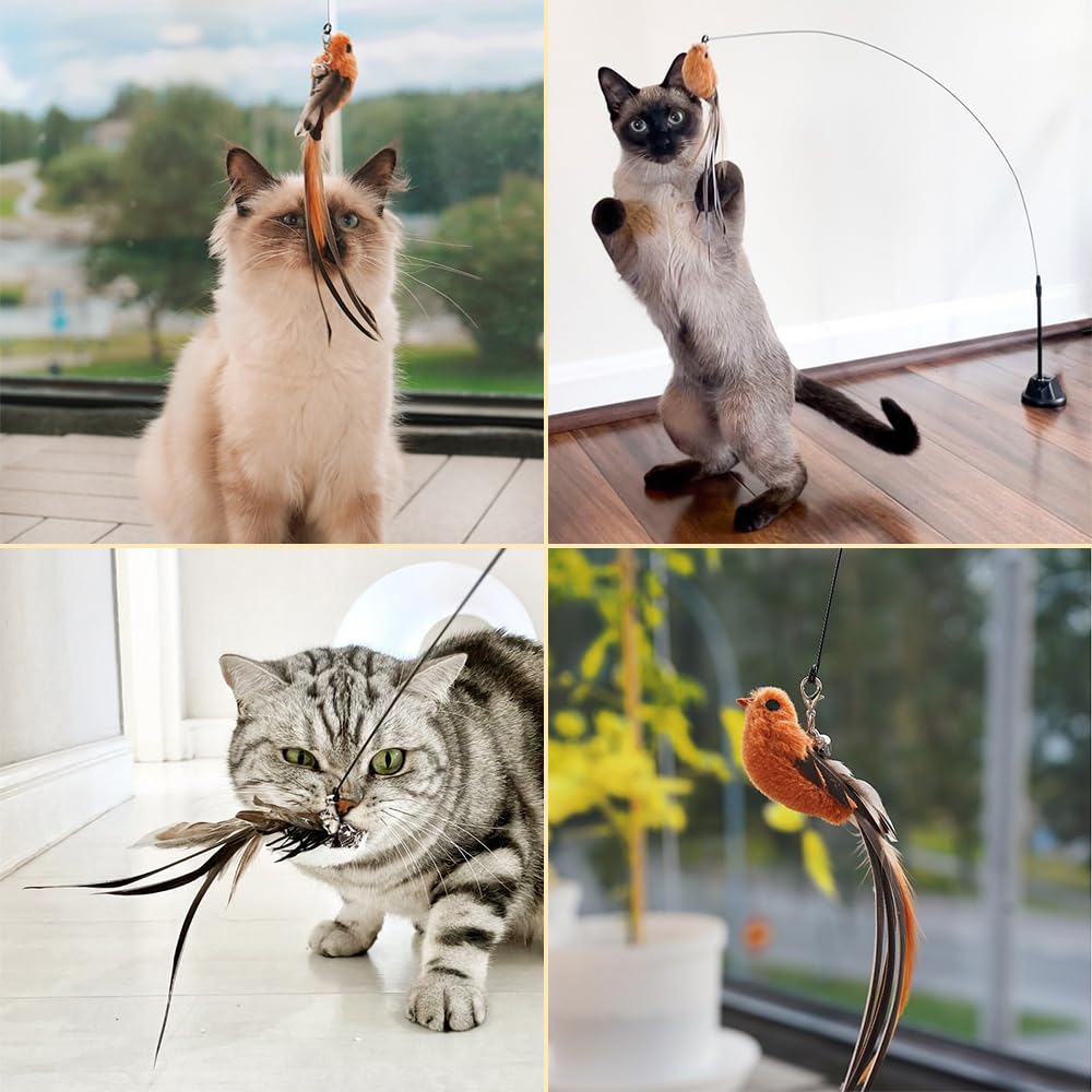 Leo's Paw self-holding base enables hands-free play.
