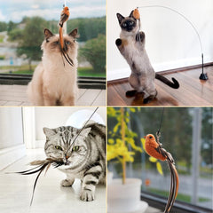 Leo's Paw self-holding base enables hands-free play.