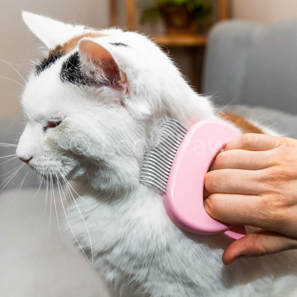 Leo's Paw Suitable for Cats, Dogs, and Bunnies for versatile grooming