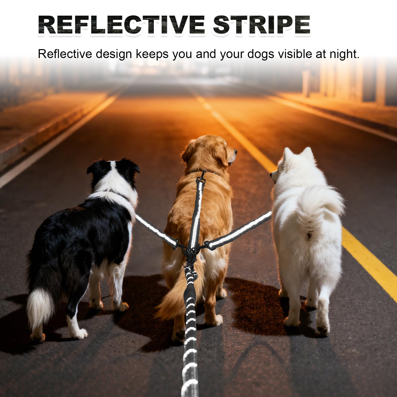 LEOSASA leash suited for dogs of similar size to maintain balance.