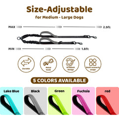 LEOSASA double dog leash adjustable-buckle demonstrates customizable training and walking distances