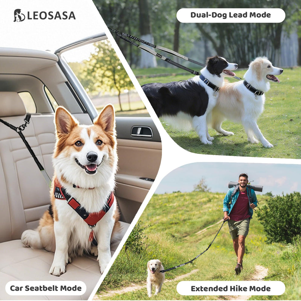 LEOSASA durable nylon leash delivers strong daily use and chew resistance