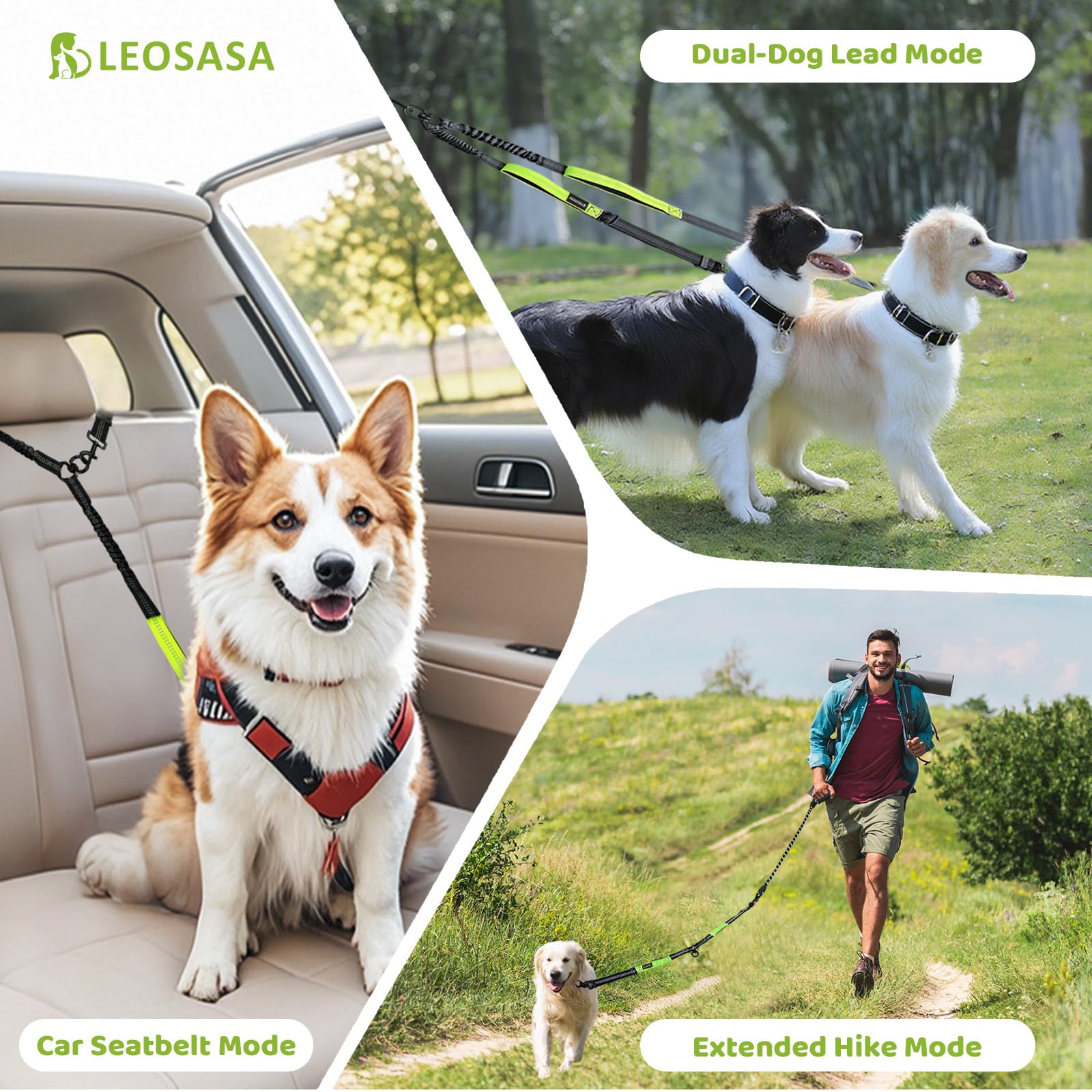 LEOSASA premium support ensures quick assistance within 24 hours