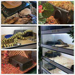 Leoterra XL snake hide dimensions confirm fit for larger terrariums