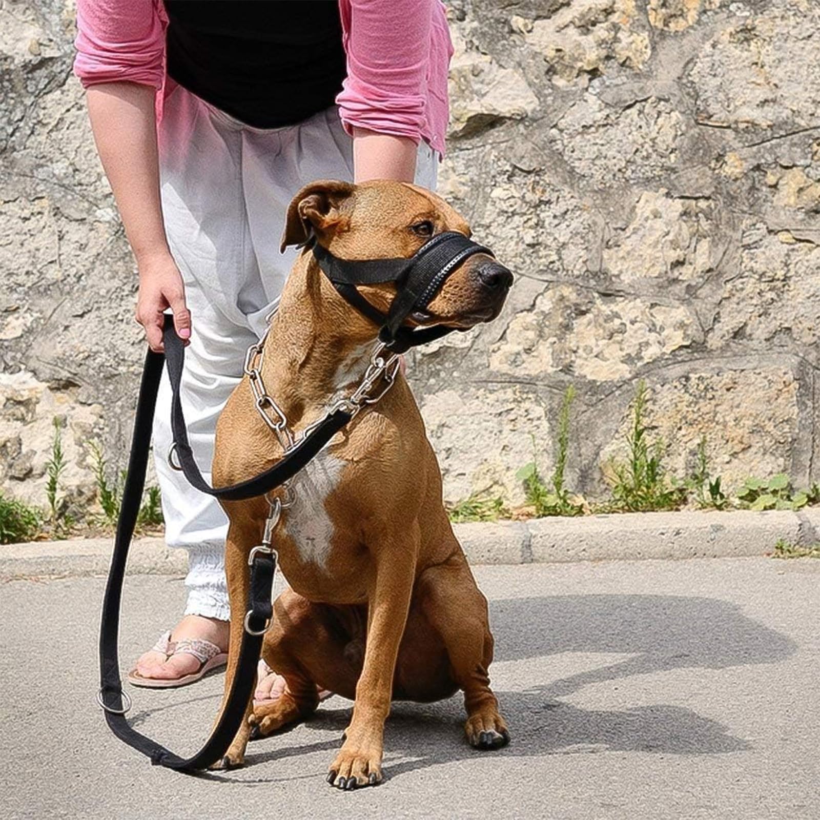 Lepark nylon dog muzzle XL black size chart close-up