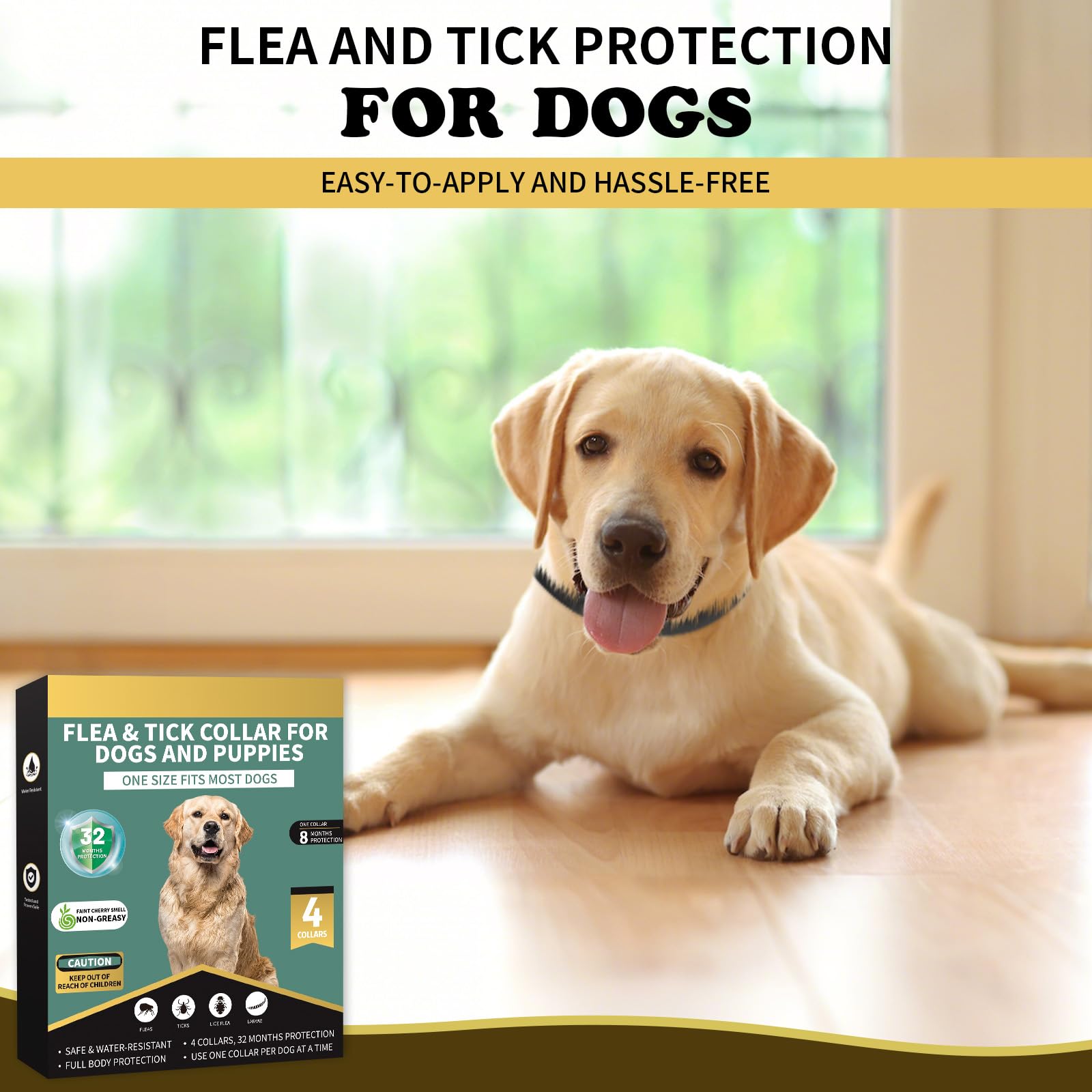 Lerqua product shown in everyday home setting as trusted protection.