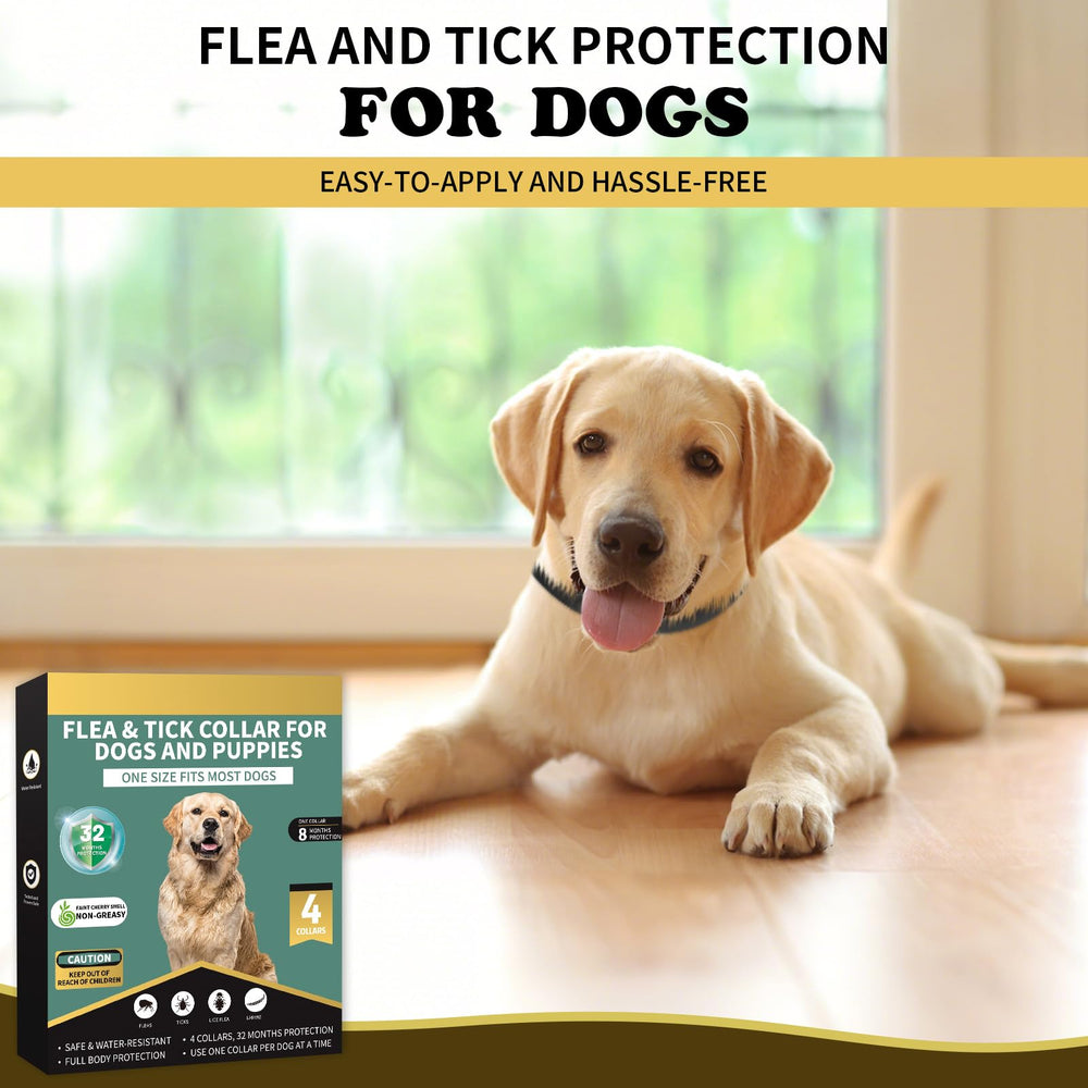 Lerqua product shown in everyday home setting as trusted protection.