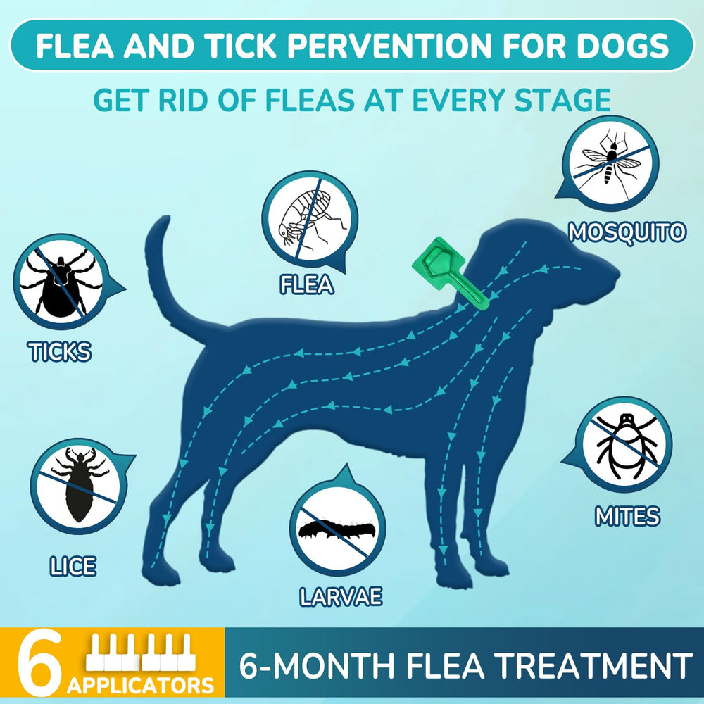 Lerqua six-month flea-tick prevention kit for a dog