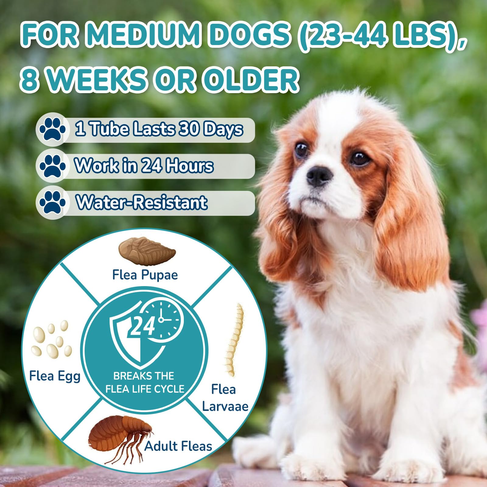 Lerqua drops dispersed through a dog's coat for full-body coverage