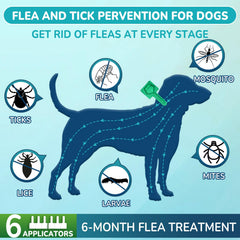 Lerqua six-tube flea-tick treatment kit for up to six months of use.