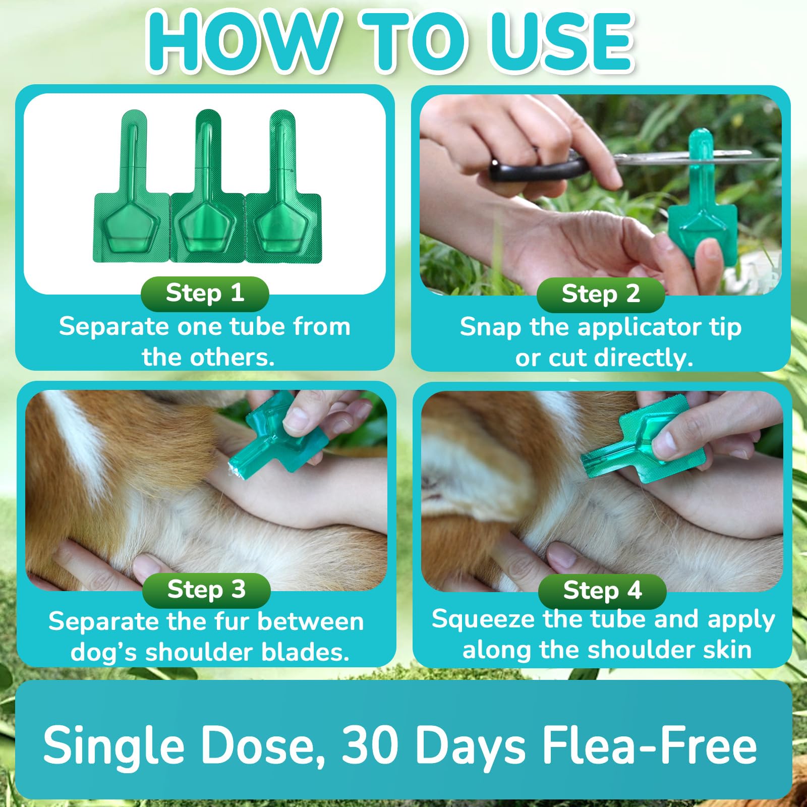 Lerqua vet-recommended formula offers home-use flea and tick care.
