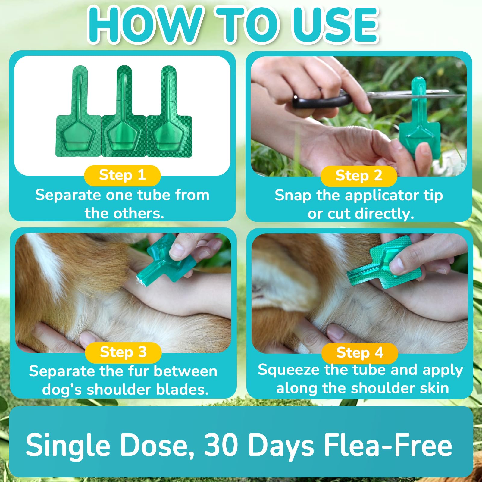 Lerqua water-resistant flea-tick drops after 24 hours of exposure