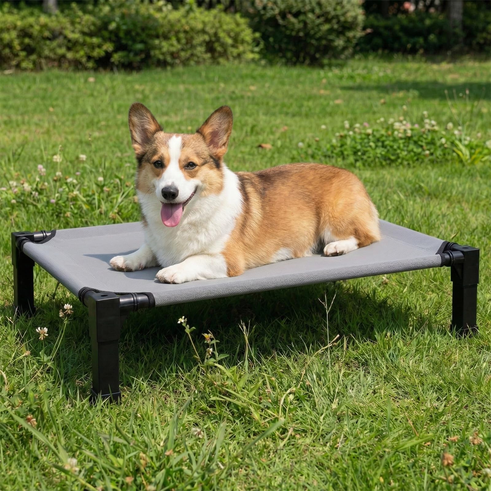 Lesguyor elevated dog bed with magnetic assembly for quick, tool-free setup