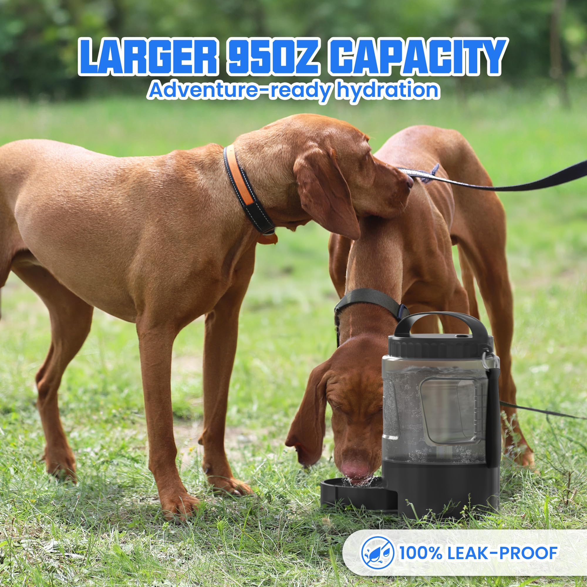 Lesotc cap with capacity markers helps track water consumption.