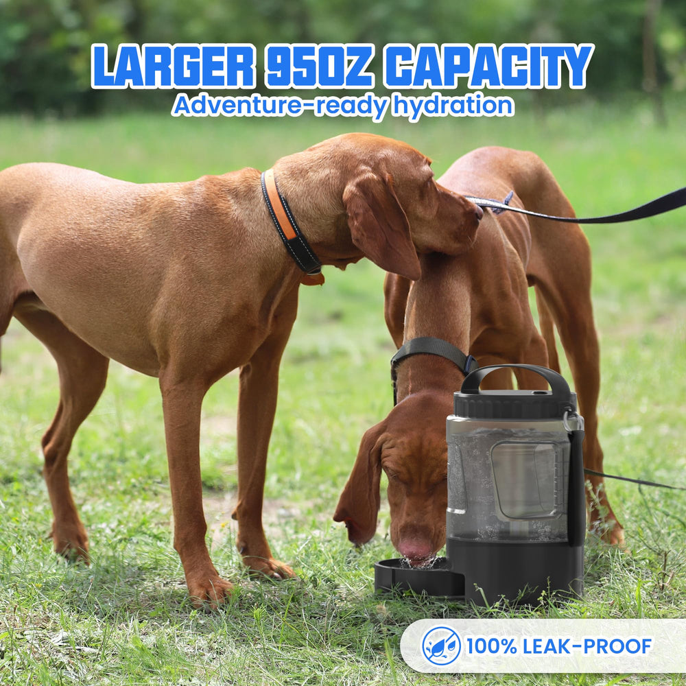 Lesotc cap with capacity markers helps track water consumption.