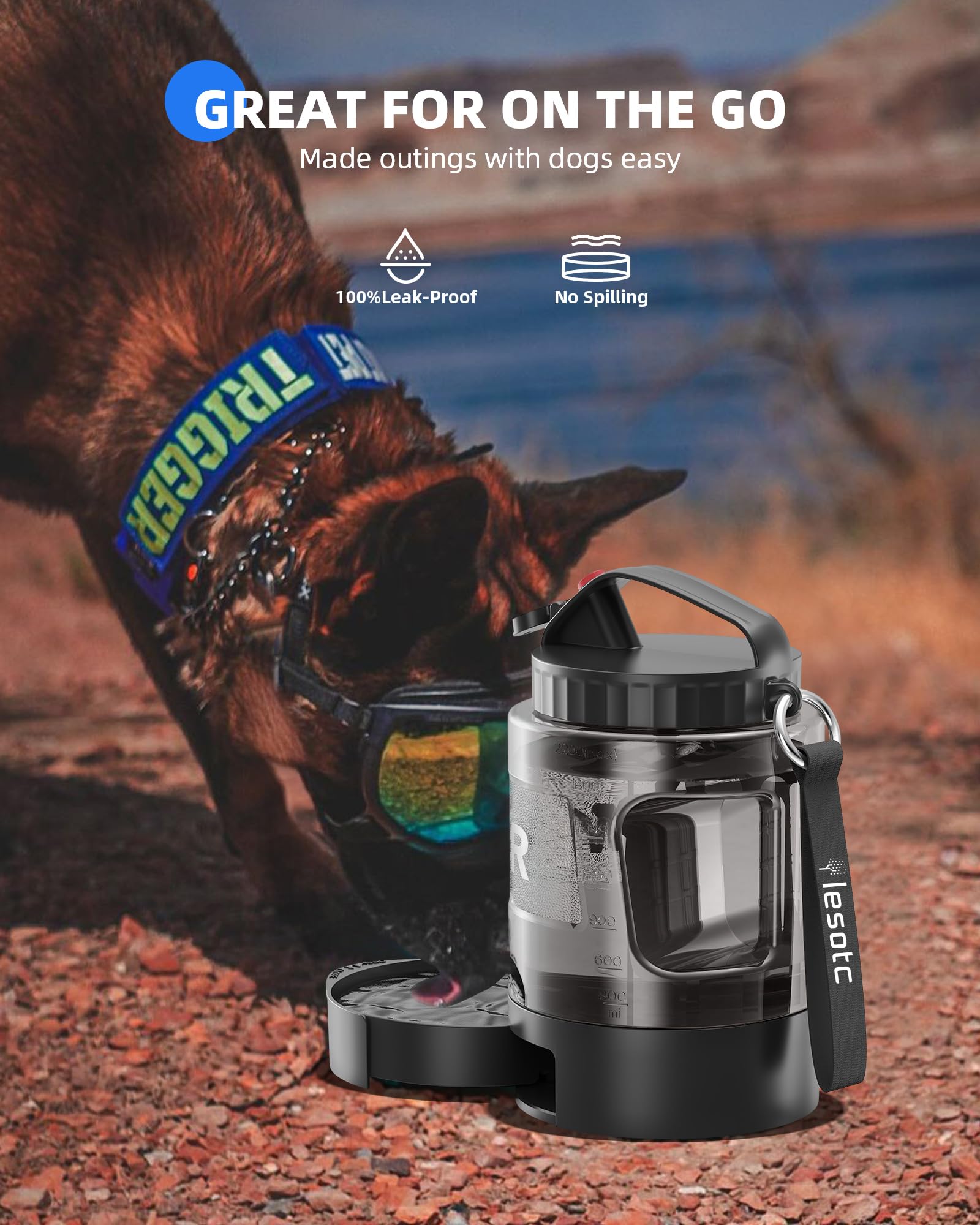 Capacity markers help track dog water intake