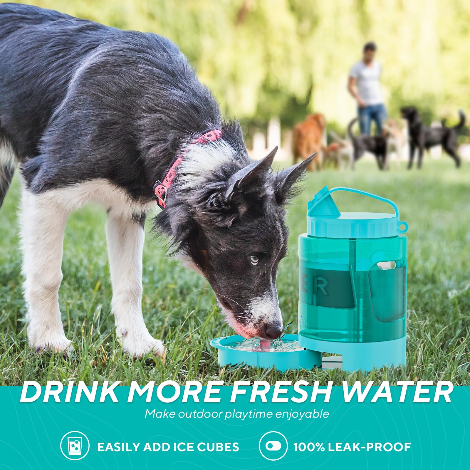 Capacity markers help track intake during long park days or trips.