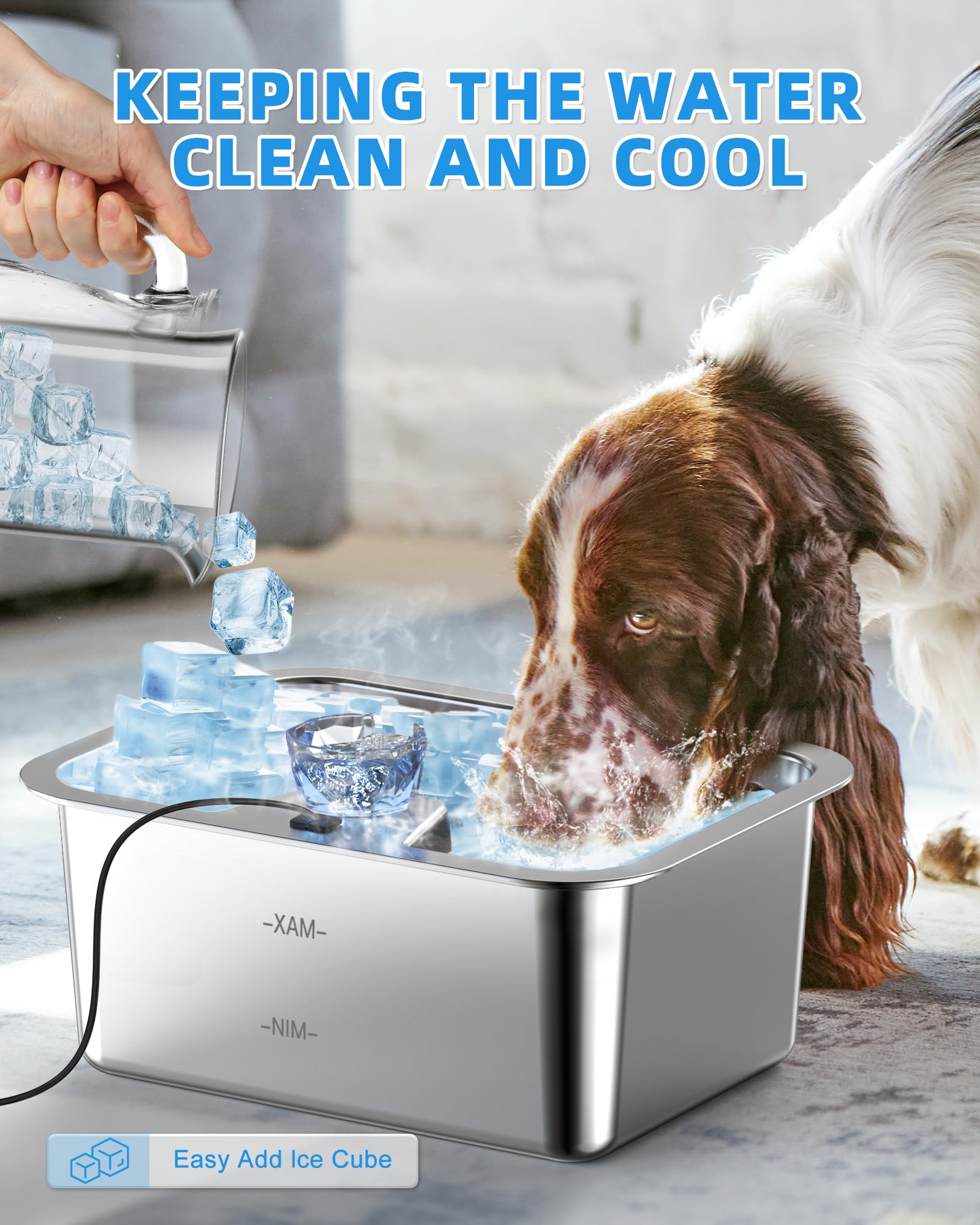 Lesotc crystal-style faucet design adds visual appeal and access