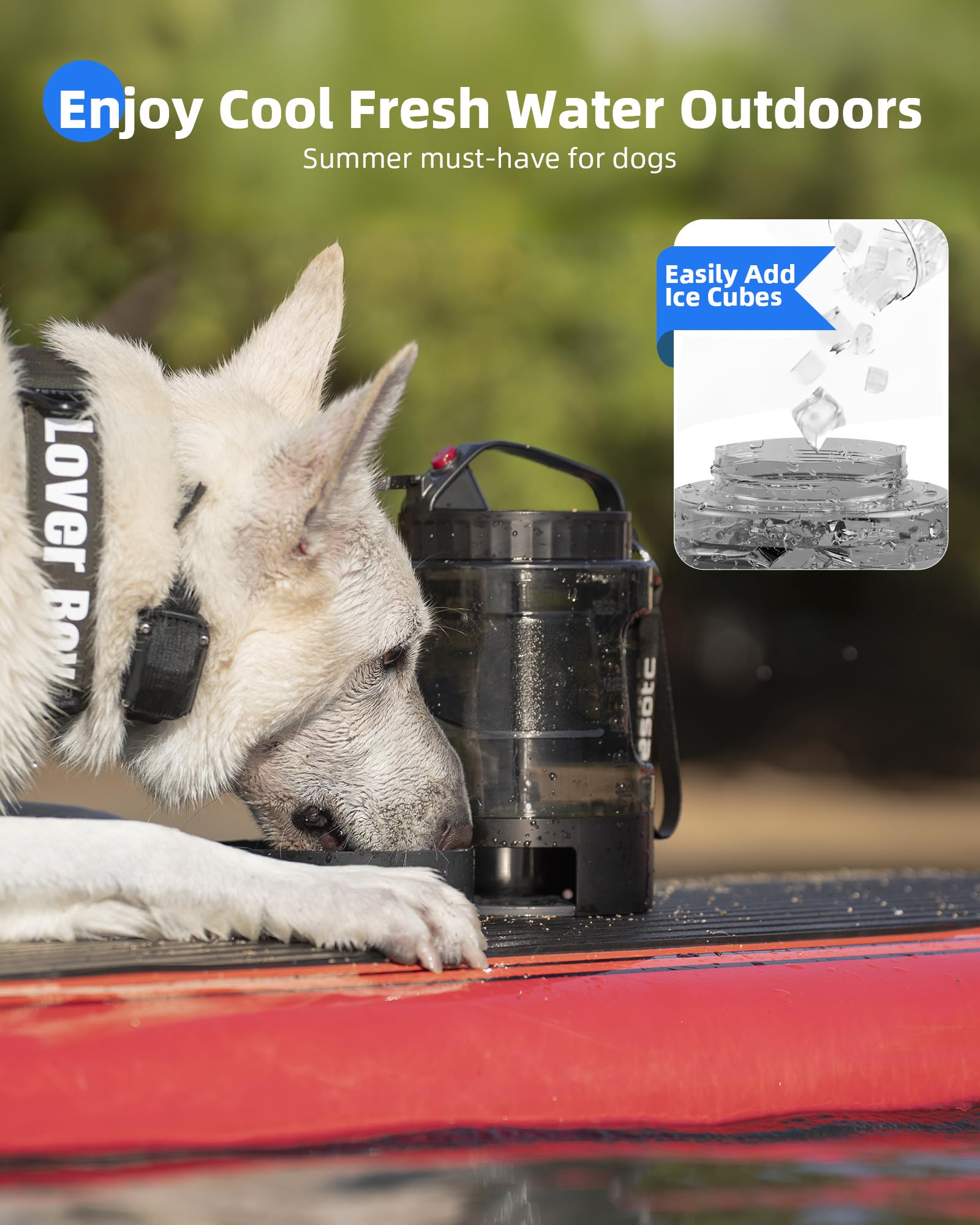 Includes handle, strap, and carabiner for easy transport