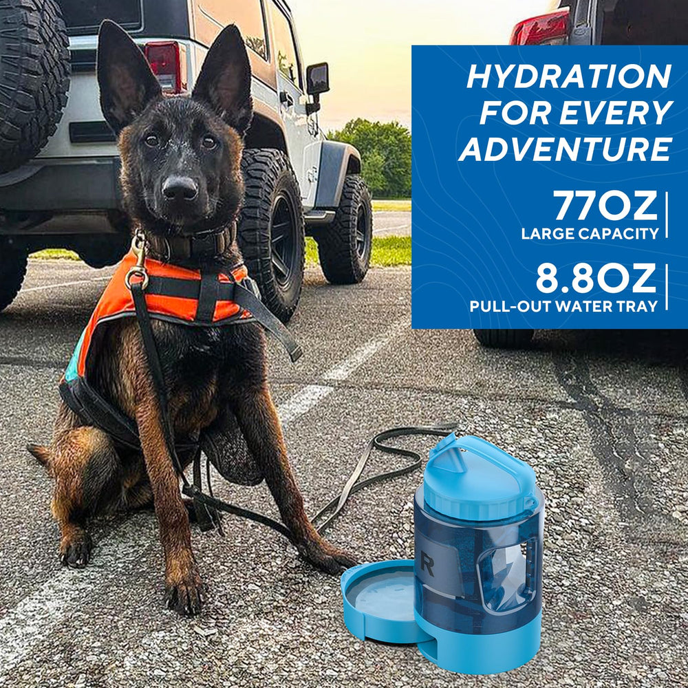 Lesotc portable dog bottle with wrist strap enables quick grab-and-go use.