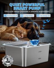 Lesotc ultra-quiet pump keeps a peaceful home