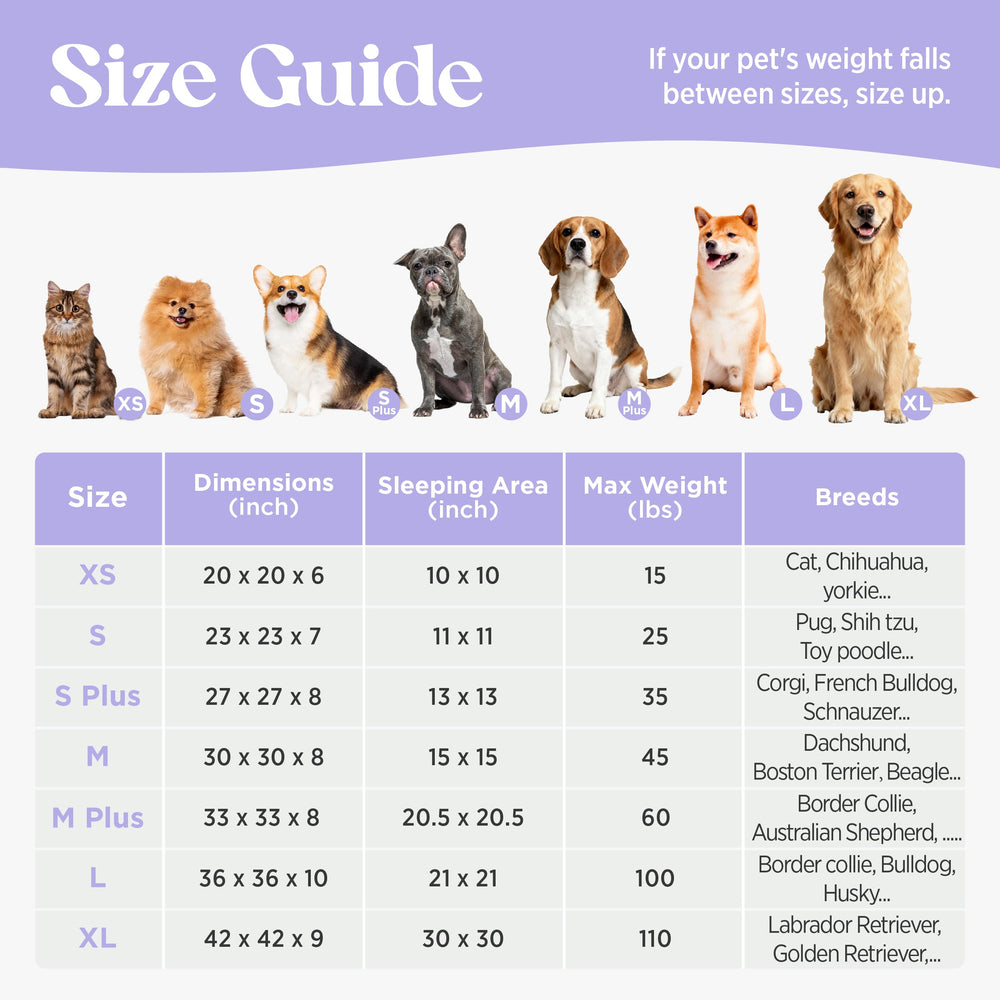 LE SURE 23 inch pet bed provides secure bolster edges for head support.