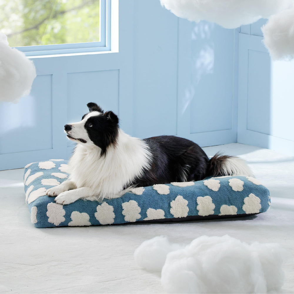 LE SURE bed fits kennels or crates for flexible indoor use