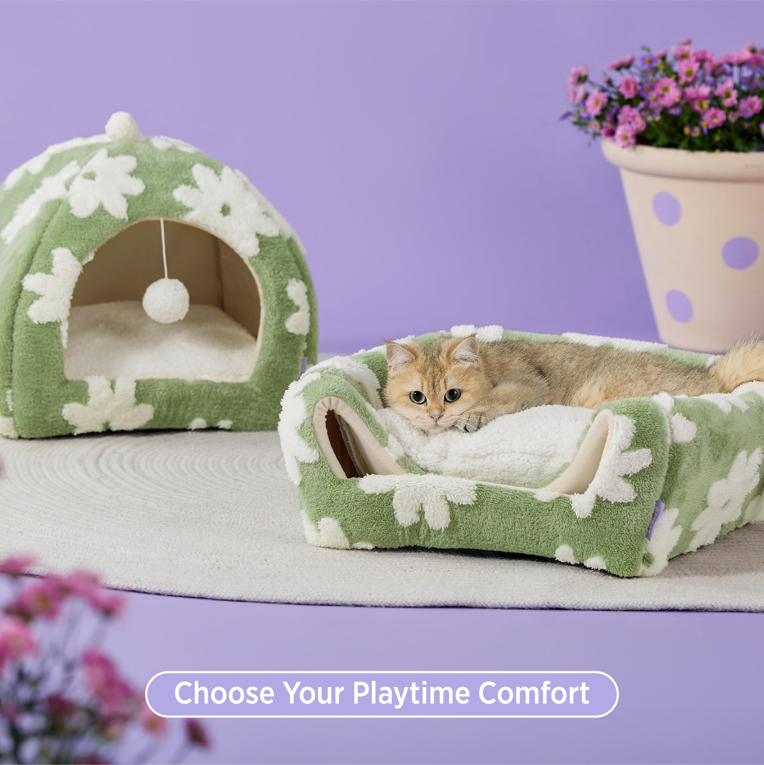 LE SURE cat bed 2-in-1 design: cave and flat bed for versatile lounging