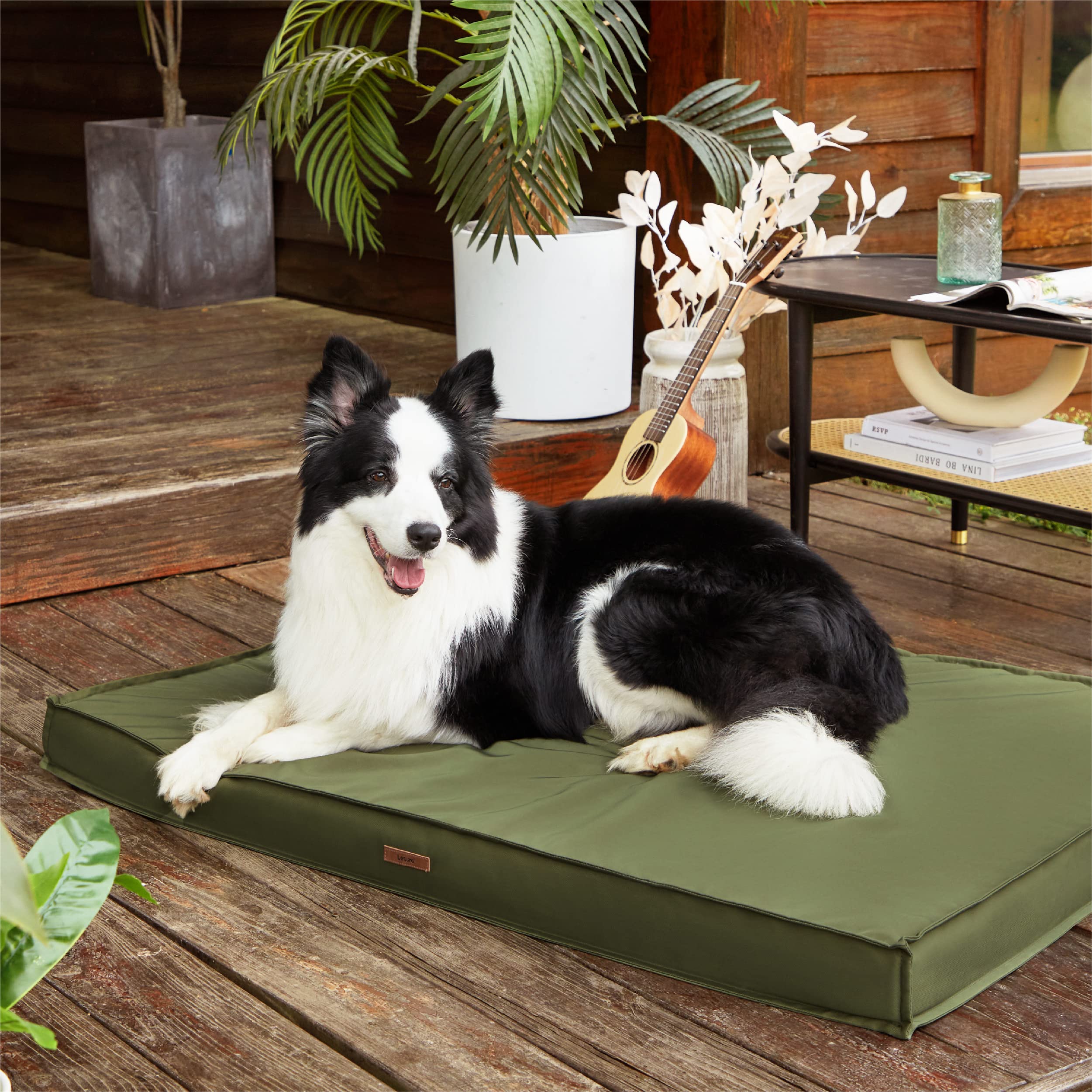 LE SURE concealed zipper design enables easy maintenance for all pets.