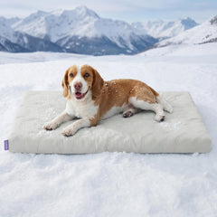 LE SURE cooling dog bed front view with breathable foam supports joints and helps stay cool.