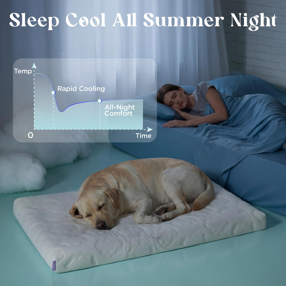 LE SURE XL cooling dog bed egg crate foam interior supports joints