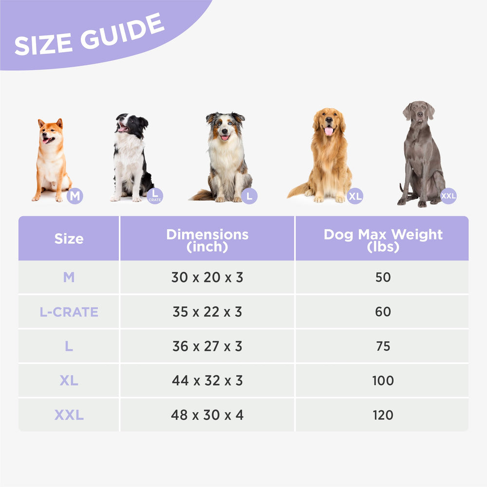 LE SURE 35x22 inch dog bed offers orthopedic comfort in crates and carriers.